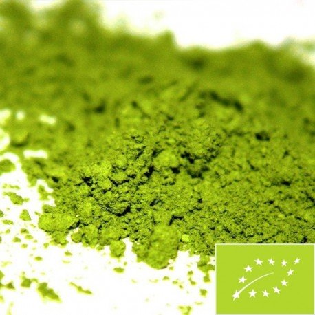 Økologisk matcha