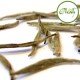 Silver Needle hvit te