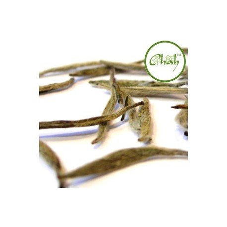 Silver Needle hvit te